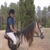 rafael96cm